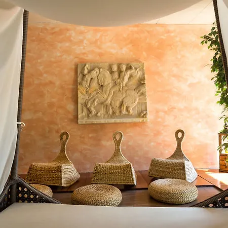 Camellia Hotel 4*